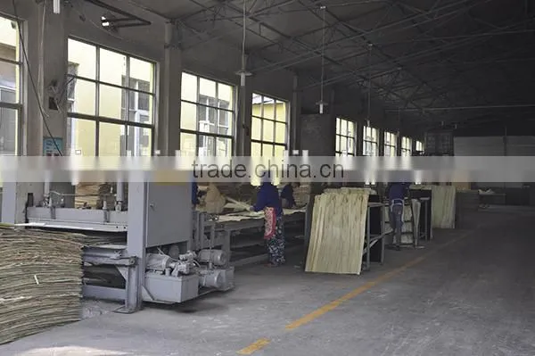 Superior Golden Peach Surface Poplar Muti-layer Veneer Plywood Melamine Coated Plywood