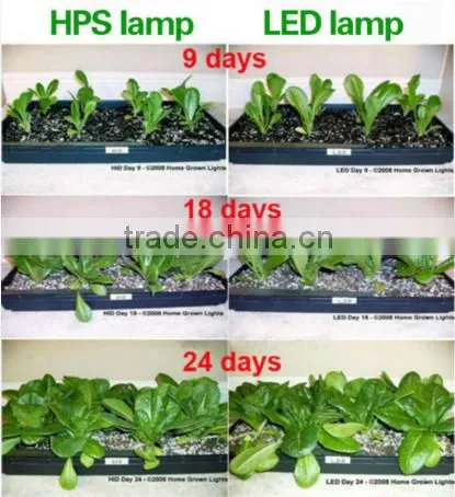 600w Full Spectrum 12led light Panel Hydroponic led indoor growing light