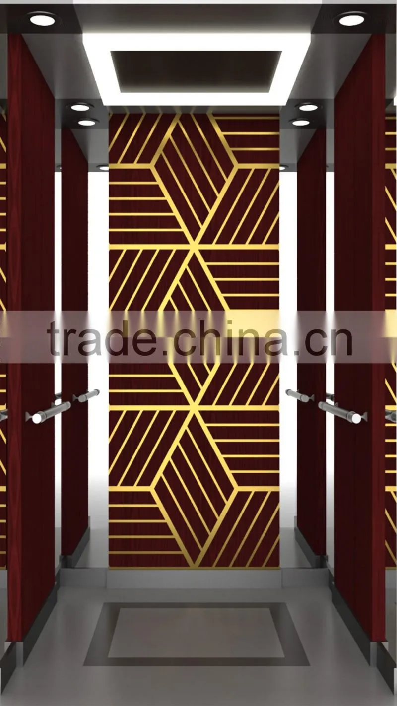 Elevatro/Lift with wood surface plate/pattern walllift best price