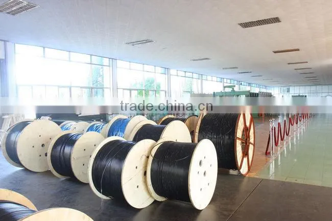 24 core single mode fiber optic cable