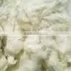 Cotton Spinning Mill Waste