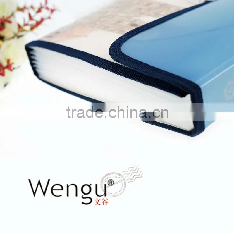 2014 new design fashional frosting expanding file bagwith plastic closure