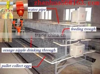 zhenhua chicken breeding cage/Chicken layer cages/ Laying chicken cages