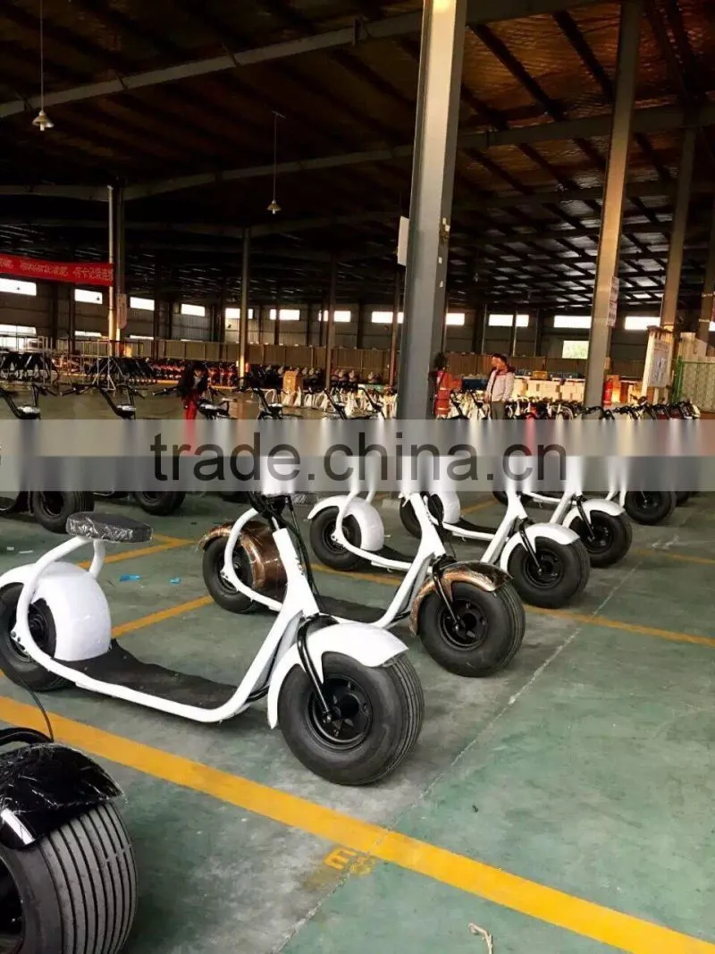 Fat tire electric scooter two wheels for sale 1000W citycoco scooter