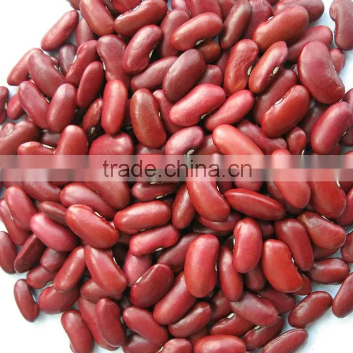2015 Dark Red Kidney Bean