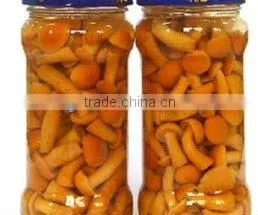 Canned Nameko In Brine In Jar