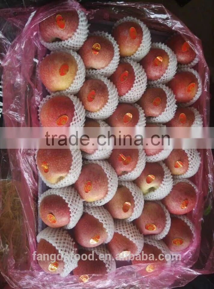 paper bagged qinguan apple