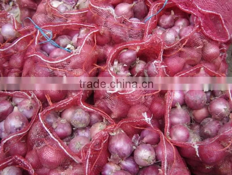 Onions
