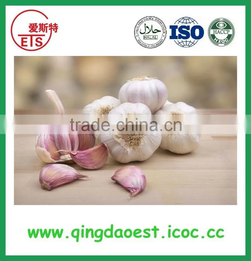 Shandong Province new crop fresh sweet strawberry for sale