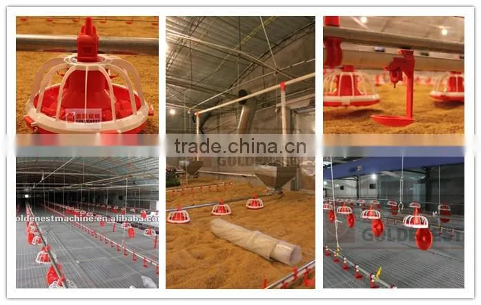 poultry farm equipment