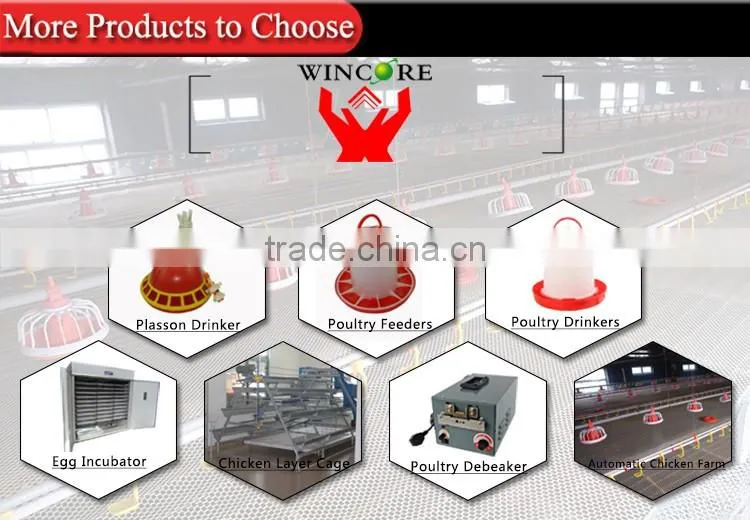 Hot salling poultry feeding system for Automatic Poultry farming equipment for Chickens