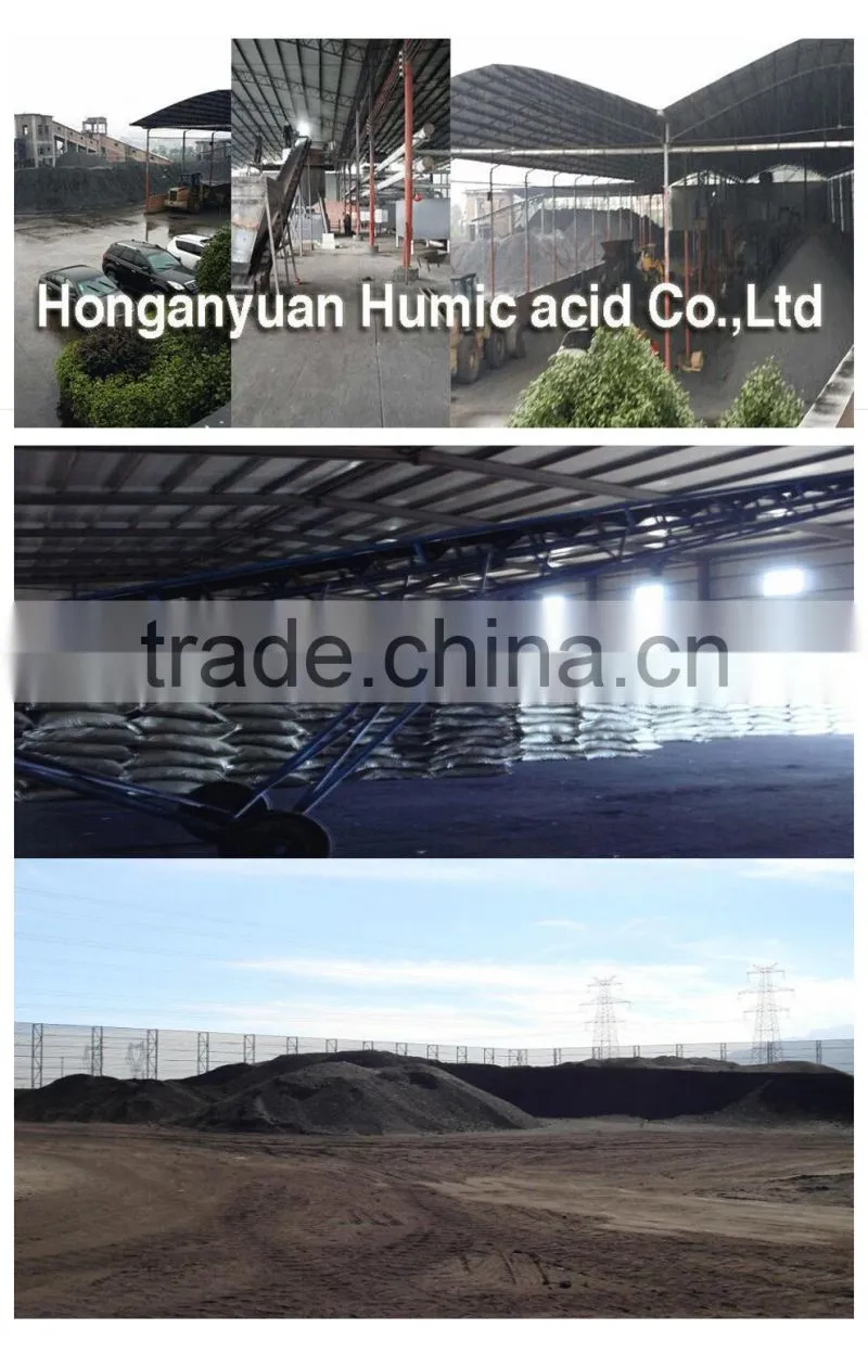 Brands of Organic Fertilizer Amino Acid Liquid