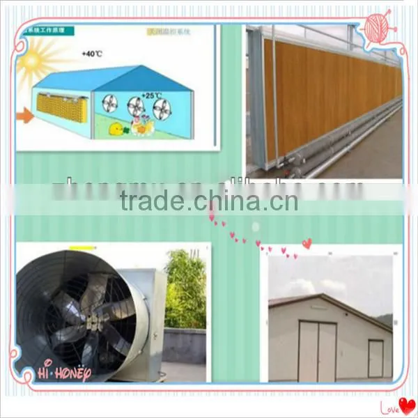 fully automatic chicken cage equipment for poultry farming