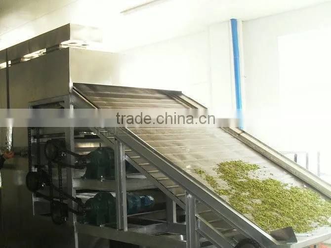 Nanyang Brand latest and cleaning hot air continuous mesh belt dry fruit machine