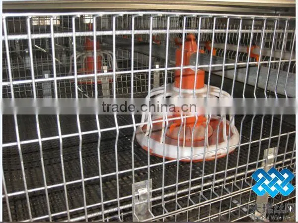 Chicken Cages/layer Chicken cage