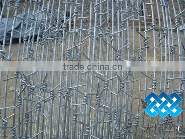 galvanized steel coiled barbed wire
