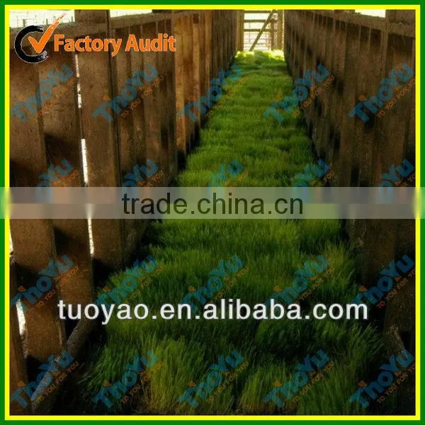 THOYU Brand Salable Germinator For Chicken with Best Price(Mob:+86-15903675071)