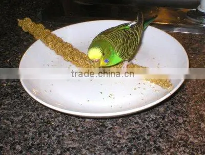 organic millet sprays for birds