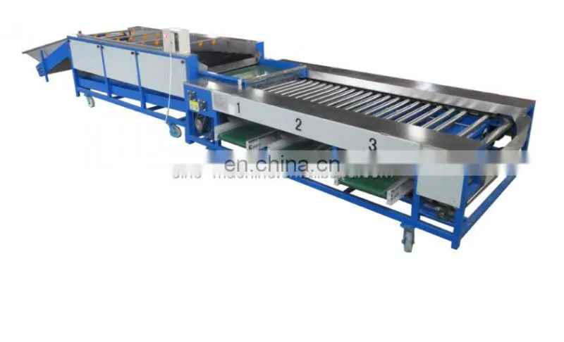Full-automatic jujube and dates fruit juice/syrup processing line apple sorter vegetable sorting grading machine for / potato