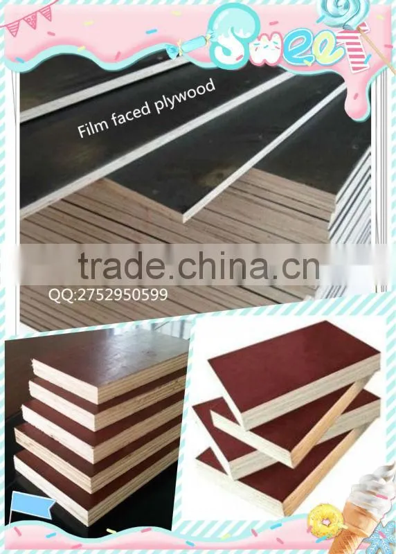 Plywood/ film faced plywood/commercial plywood