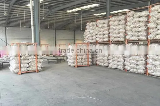 pure white garlic