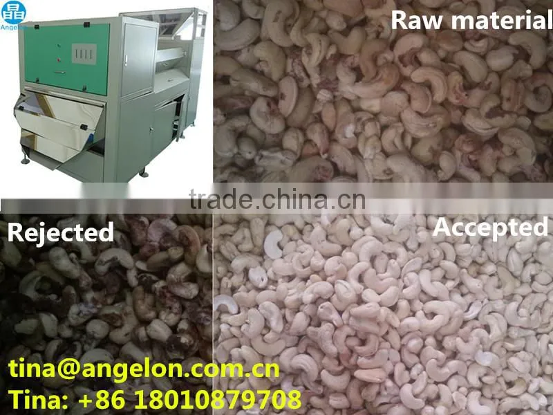 Cashew Colour Sorter Cashew Processing Machines Cashew Colour Sorting Machines