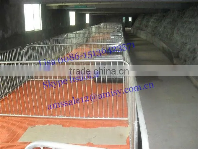 swine farm equipment for piglet