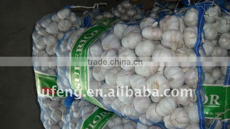New Crop Jinxiang Garlics