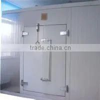 cold storage unit door