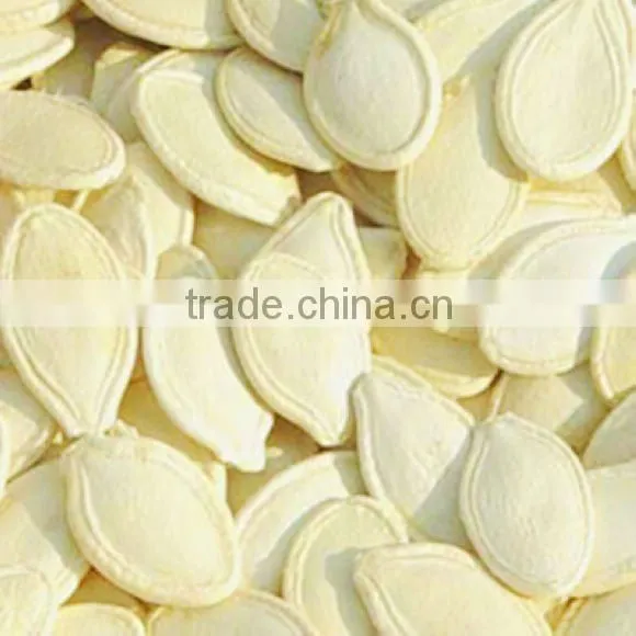 white pumpkin seeds