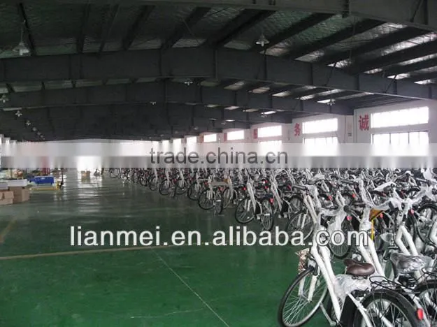 36v electric bike with aluminum alloy 6061 frame ,20" tyre foldable