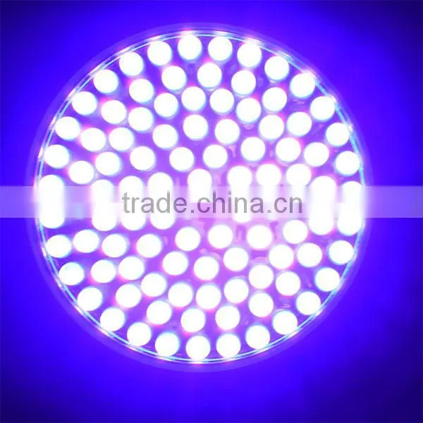 395nm100 LED UV Lamp Ultra Violet Scorpion UV Flashlight
