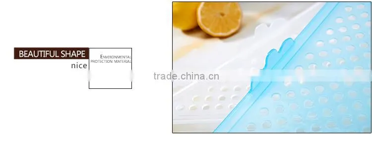 Kitchen storage Fashion portable plastic drain rack store shelves storage box bowl cup Shelves Stands Dish Rack