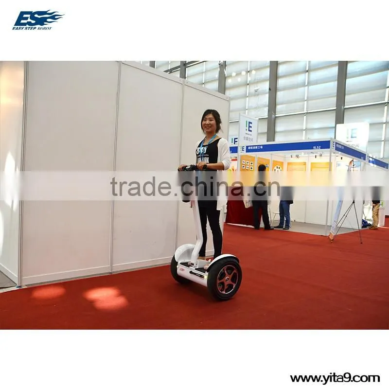 Popular 2 Wheels Stand Up Electric Scooter