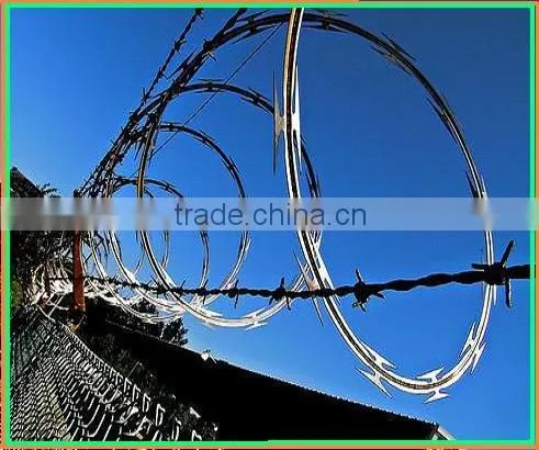 Barbed Razor Wire (Factory)