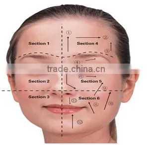 Skin younger 8 function facial machine