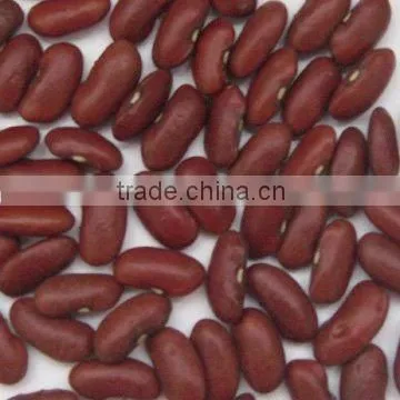 good dry chinese kidney red bean