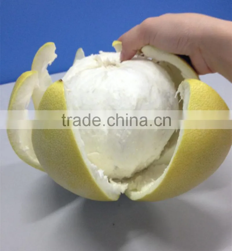 late honey pomelo