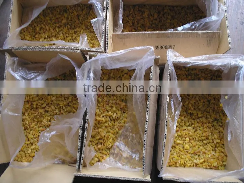 all kinds of dried raisin (green raisin/red raisin /golden raisin/sultana)
