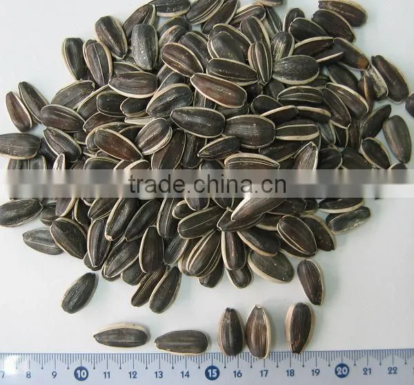 wholesale delicious red watermelon seeds