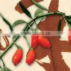 NINGXIA GOJI BERRIES