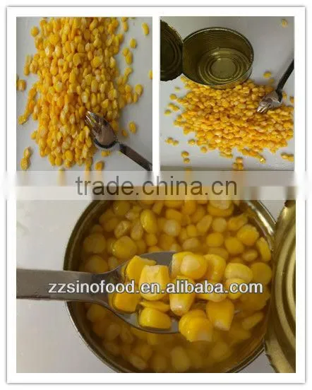 Canned Sweet corn in Brine Factory in China