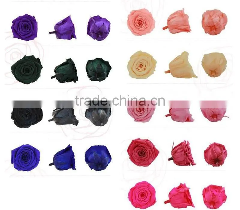 Natural real touch flower rose 2-3cm flower rose head preserved fresh flower