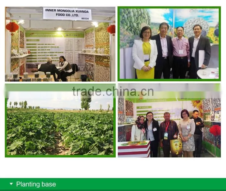 wholesale edible white pumpkin seed price