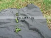 Plant Cover For Frost Protection