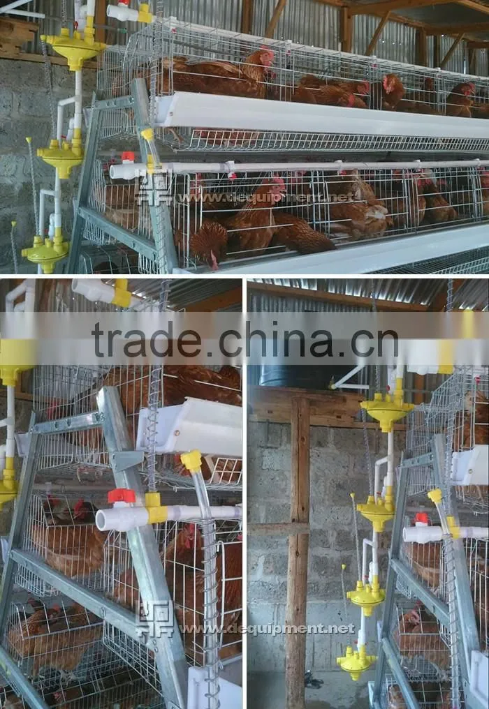 TA NO.1 factory kenya poultry farm