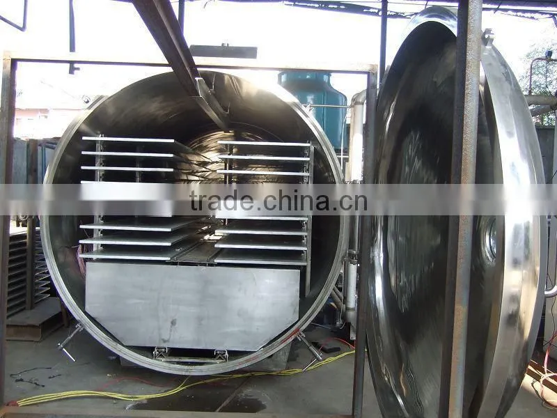 High quality Lemon freeze dryer