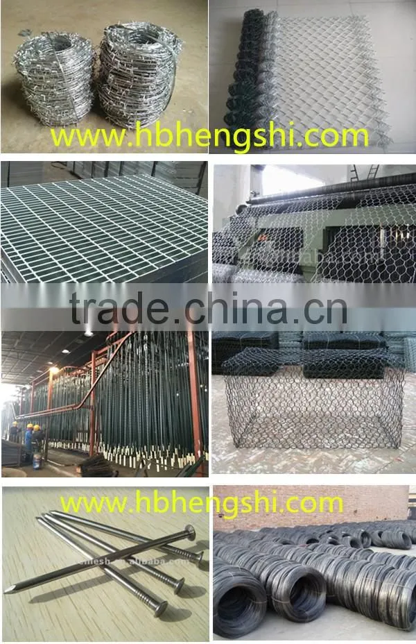 Hot dipped galvanized grassland post Professional Supplier