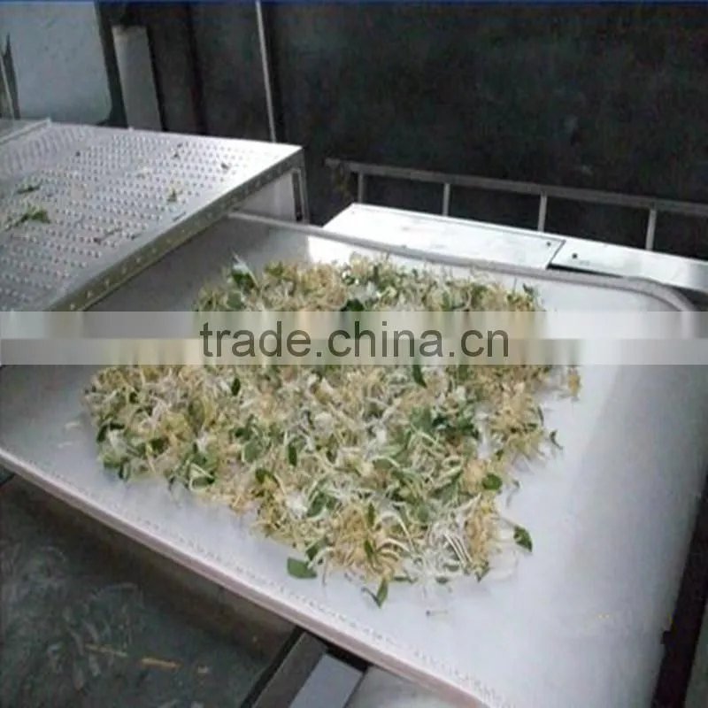 Double Win hot sell turmeric drying machine,continuous belt microwave drying machine,microwave drying sterilization equipment