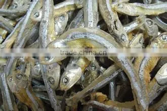 Sardine Multiple layer continuous type mesh belt dryer